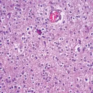 Biological Stains